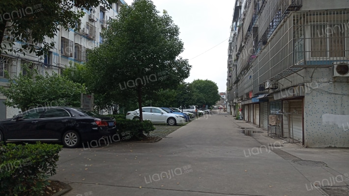 文定一村(南)住宅小区外景图