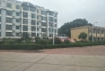 枣城开元小区户型图实景图