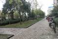 岸尚公馆户型图实景图