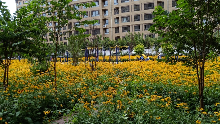 方舟美苑外景图