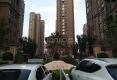 阳光城西苑户型图实景图