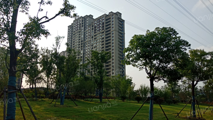 绿城水岸外景图