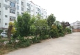 宏鑫花园小区户型图实景图