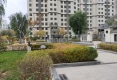金座呈璟户型图实景图
