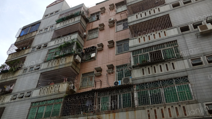 金菊花园升平阁外景图