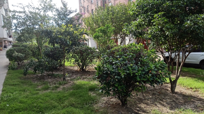 玉乳泉小区外景图