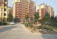 彩虹城户型图实景图