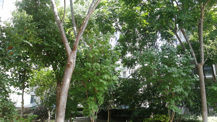 南城雅苑外景图