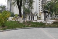 金座呈璟户型图实景图