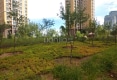 清园户型图实景图