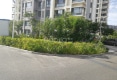 万胜西户型图实景图