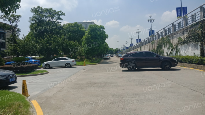 玉荷春天外景图