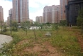 澄园水岸新城户型图实景图