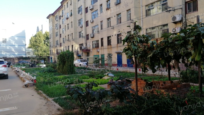 审计局宿舍外景图