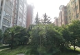 自然·康桥户型图实景图