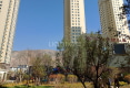 鼎安名城户型图实景图