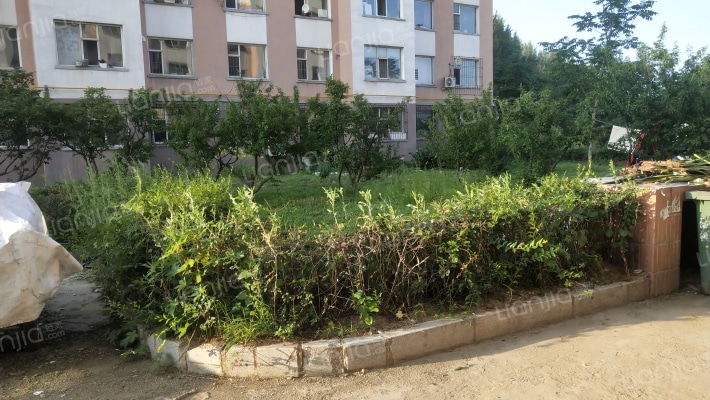 桃北家园外景图