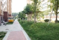 吉顺泺清水岸户型图实景图