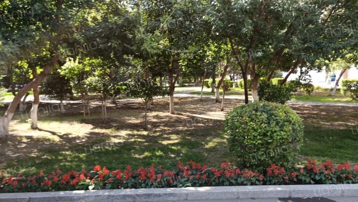 娇景家园外景图