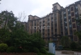 天明城户型图实景图