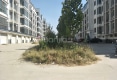 杨桥社区户型图实景图