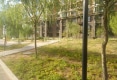 水岸新城淳园户型图实景图
