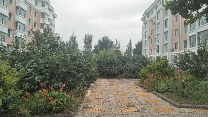 实验中学家属院外景图