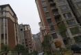 金地日煜城户型图实景图