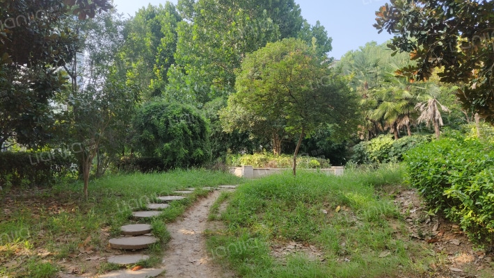 太阳星城外景图