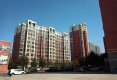时代家园户型图实景图