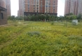 澄园水岸新城户型图实景图