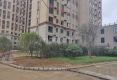 城尚城户型图实景图