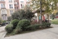 岸尚公馆户型图实景图