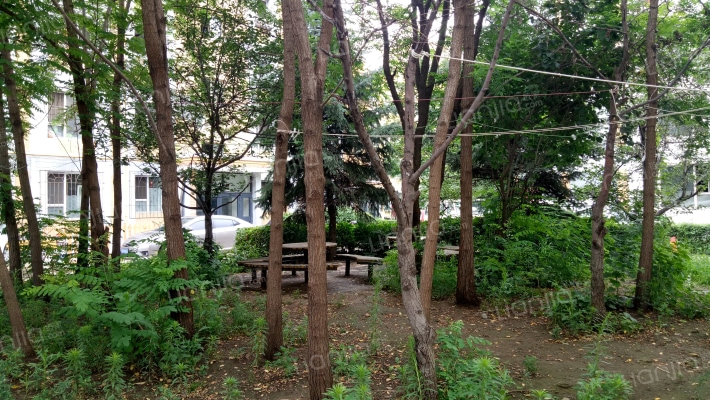 筑石德园外景图