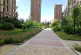 骏仕名门户型图实景图