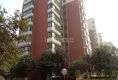 润园户型图实景图