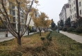 帝豪国际花园户型图实景图