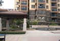太阳城·中兴学府花园户型图实景图