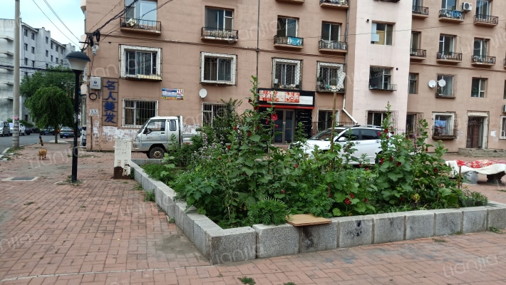 辽东三区外景图