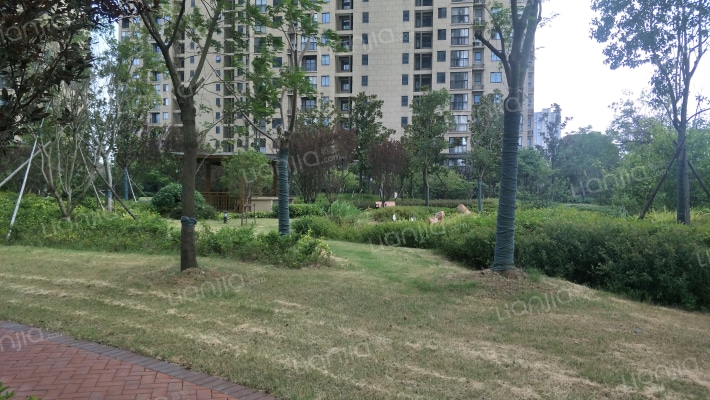 信达香堤国际外景图