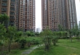 金盾国际A区户型图实景图
