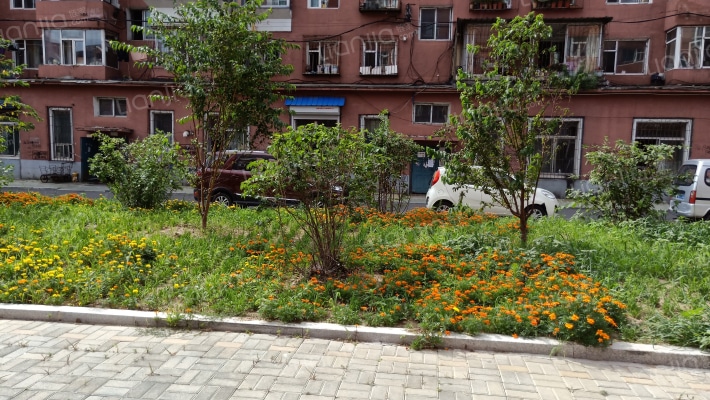 天合花园外景图