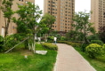龙城帝景户型图实景图
