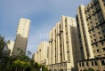 北大新城户型图实景图