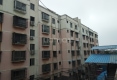 建福家园户型图实景图
