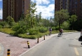 骏仕名门户型图实景图