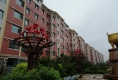 阳光城三期户型图实景图
