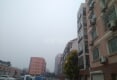 希森枣苑户型图实景图