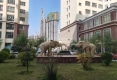 隆豪万利园户型图实景图