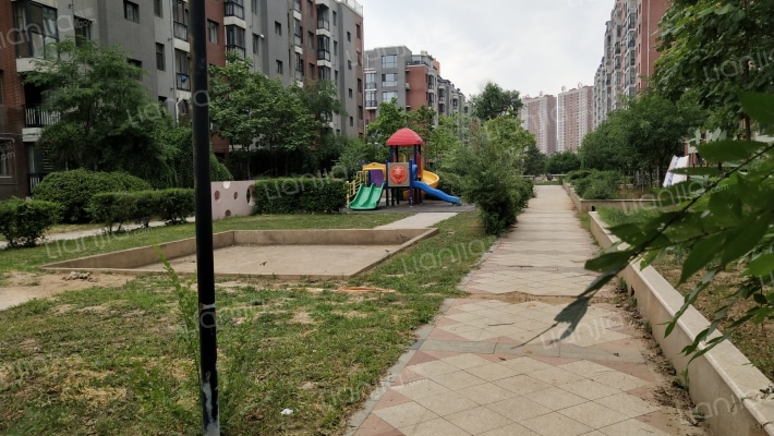 国际鑫城外景图